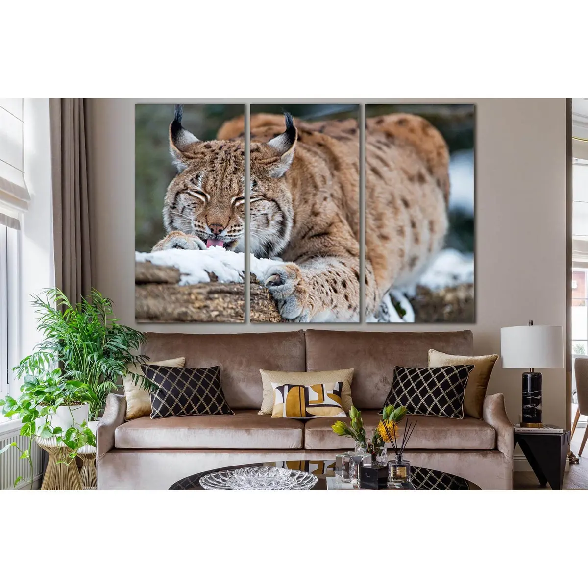 Wild Lynx On A Log №Sl998 Ready To Hang Canvas Print 5