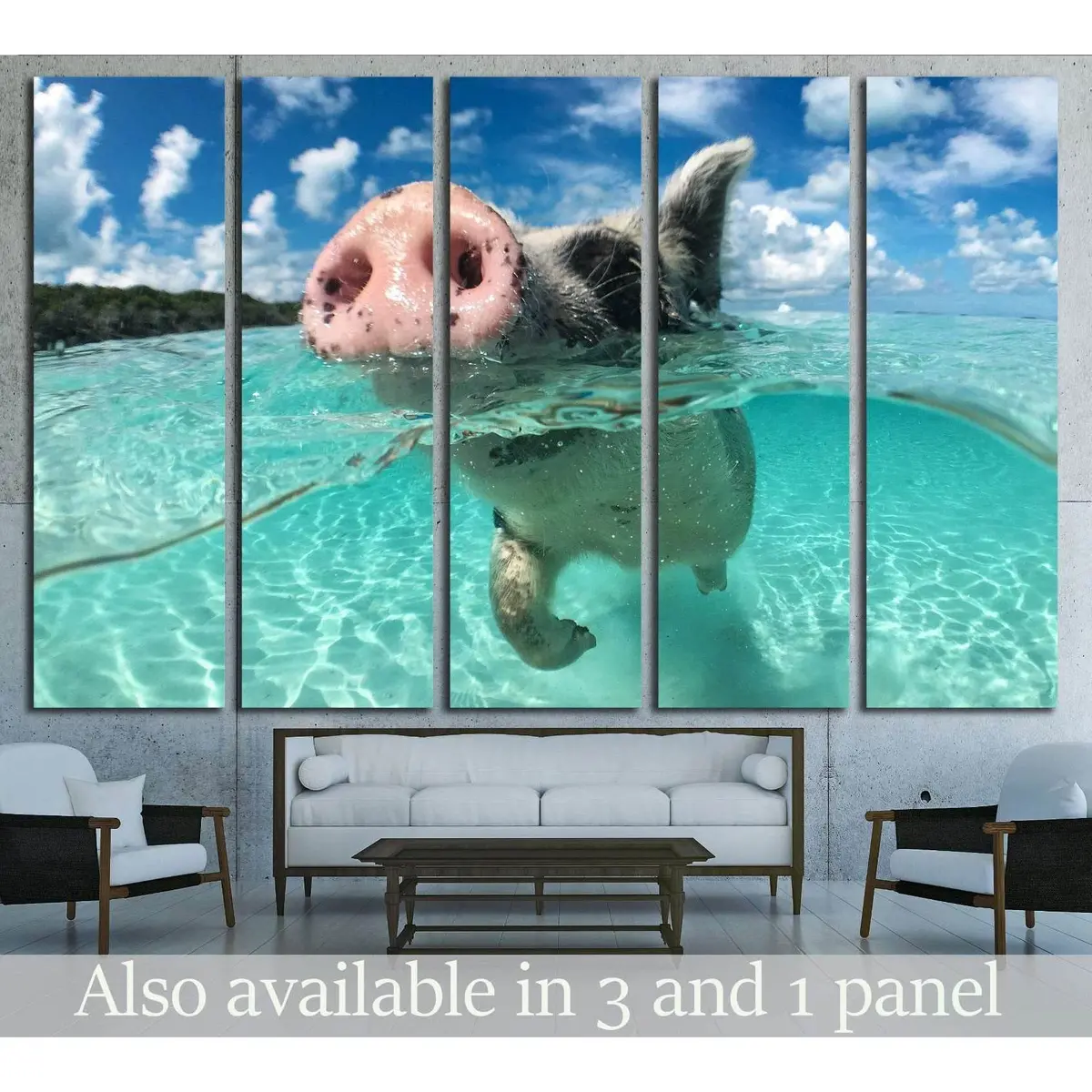 Swimming Pig of Major's Cay, Bahamas – Premium Ready-to-Hang Canvas Wall Art