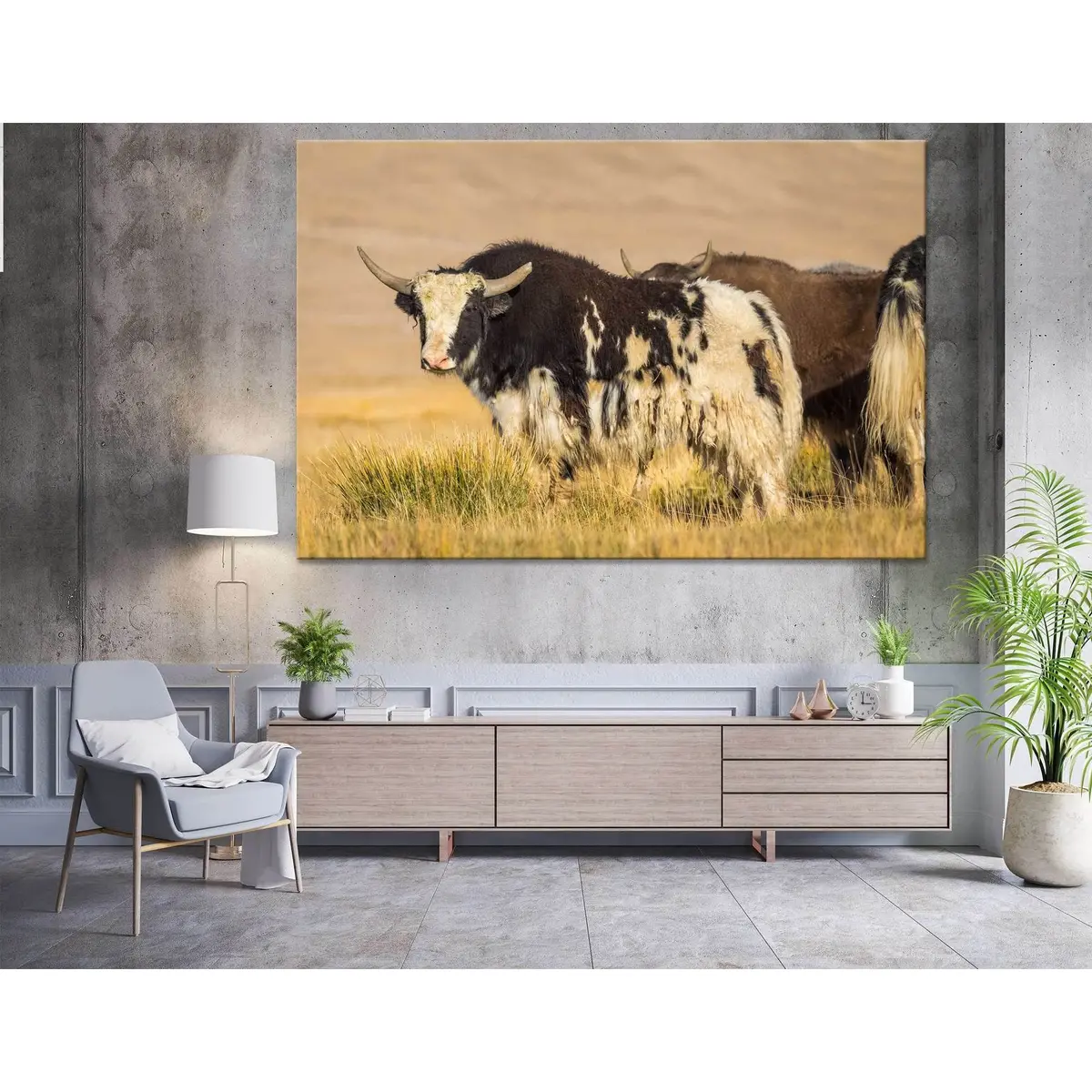 Wild Yak On Pasture In The Pamir Mountains №04137 Ready To Hang Canvas Print 1