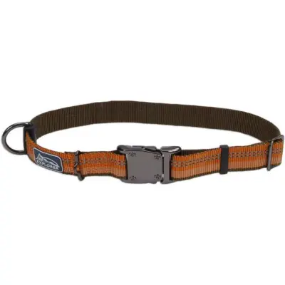 K9 Explorer Reflective Adjustable Dog Collar - Orange - 8 -12 Long X 5/8 Wide 1